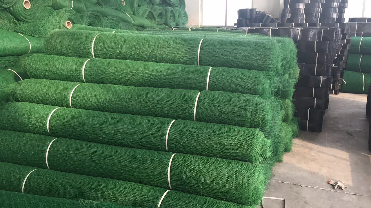 陵水三维土工网垫厂家 陵水三维土工网垫施工