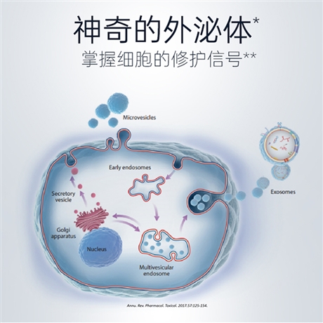 什么是外泌体填充外泌体填充产品详细解答