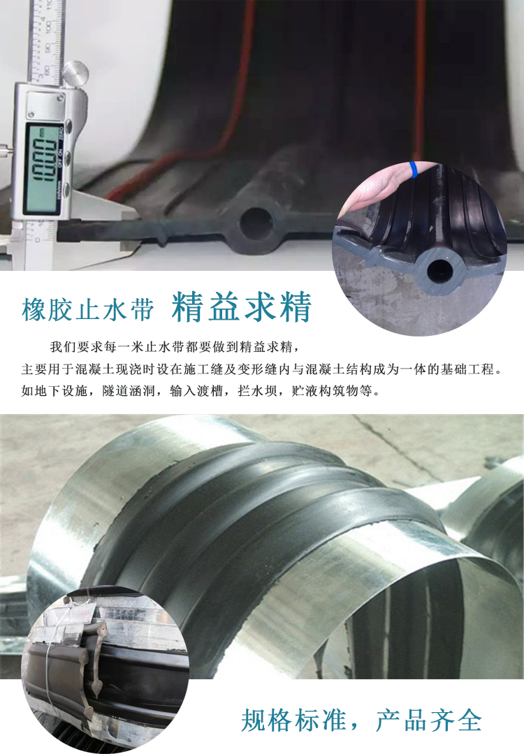 工程橡胶止水带外贴式橡胶止水带钢边胶止水带泰立厂家批发零售