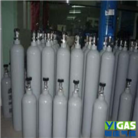 標準氣體生產廠家 化工行業標準氣體