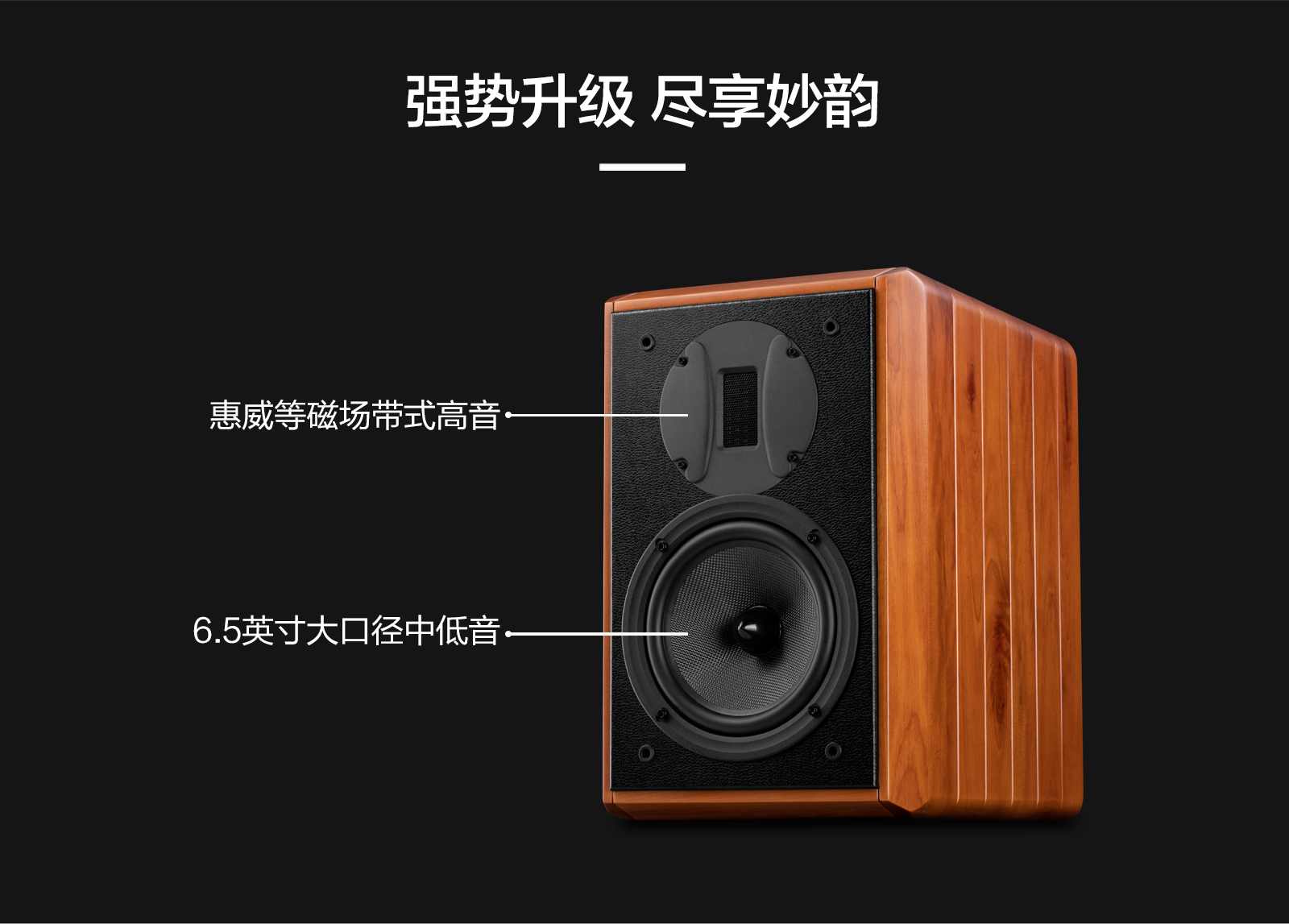 hivi惠威m1mkiihifi无源书架音响发烧音箱木质家庭影院客厅电视音响