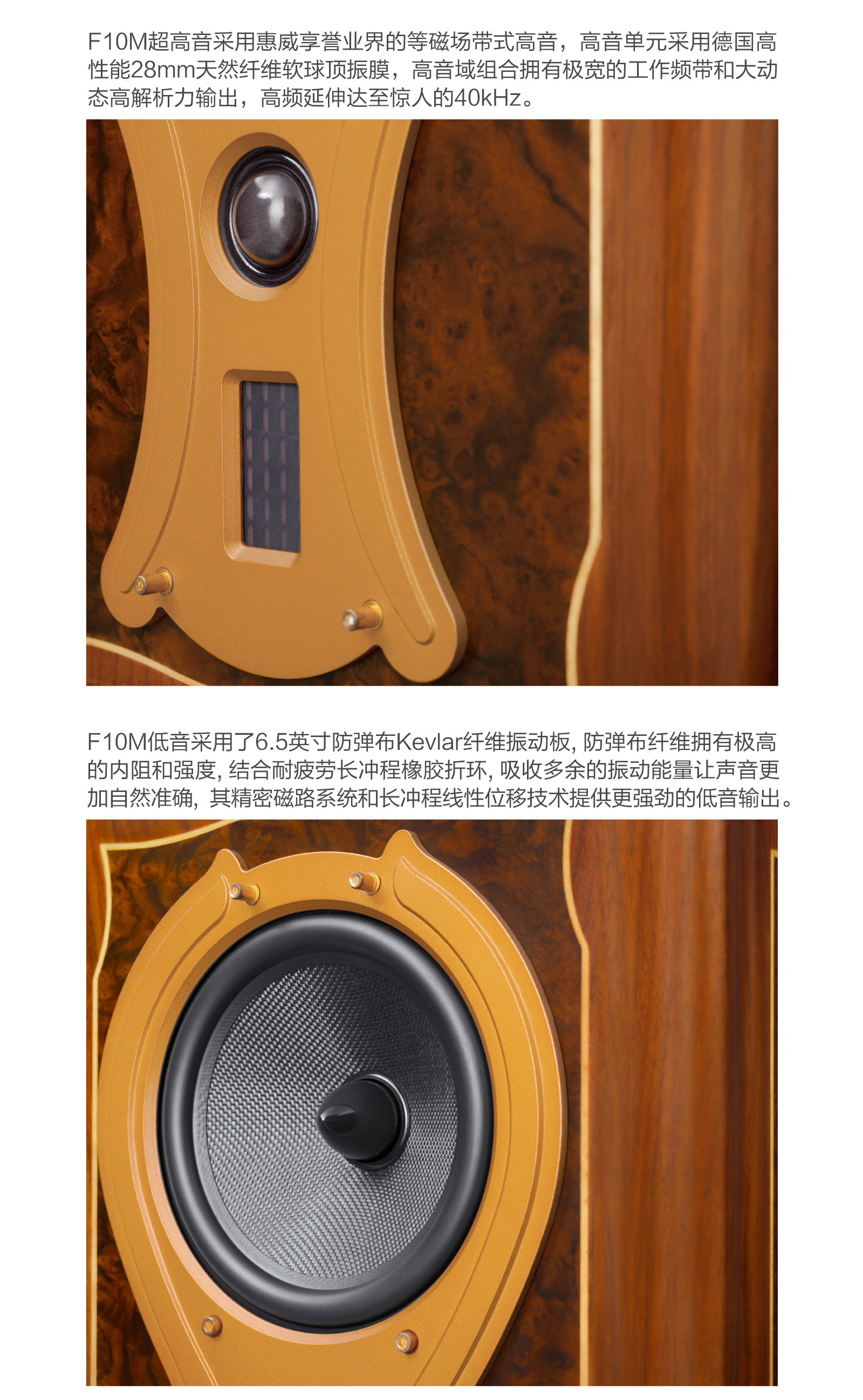 hivi惠威swanf10m高保真发烧级书架式音箱