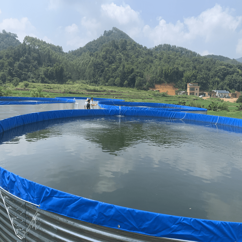 大型户外养殖基地镀锌板帆布鱼池好安装好管理新型水产养殖设备