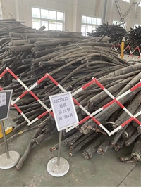 衢州电力电缆线回收提供报价
