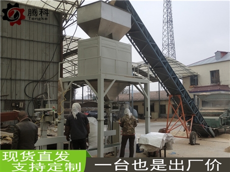四川型煤異型塊狀通用包裝機價格 自動定量粉末包裝機生產廠家