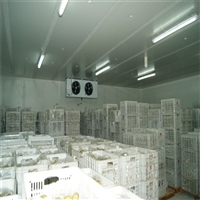 深圳横岗二手仪器仪表回收站点