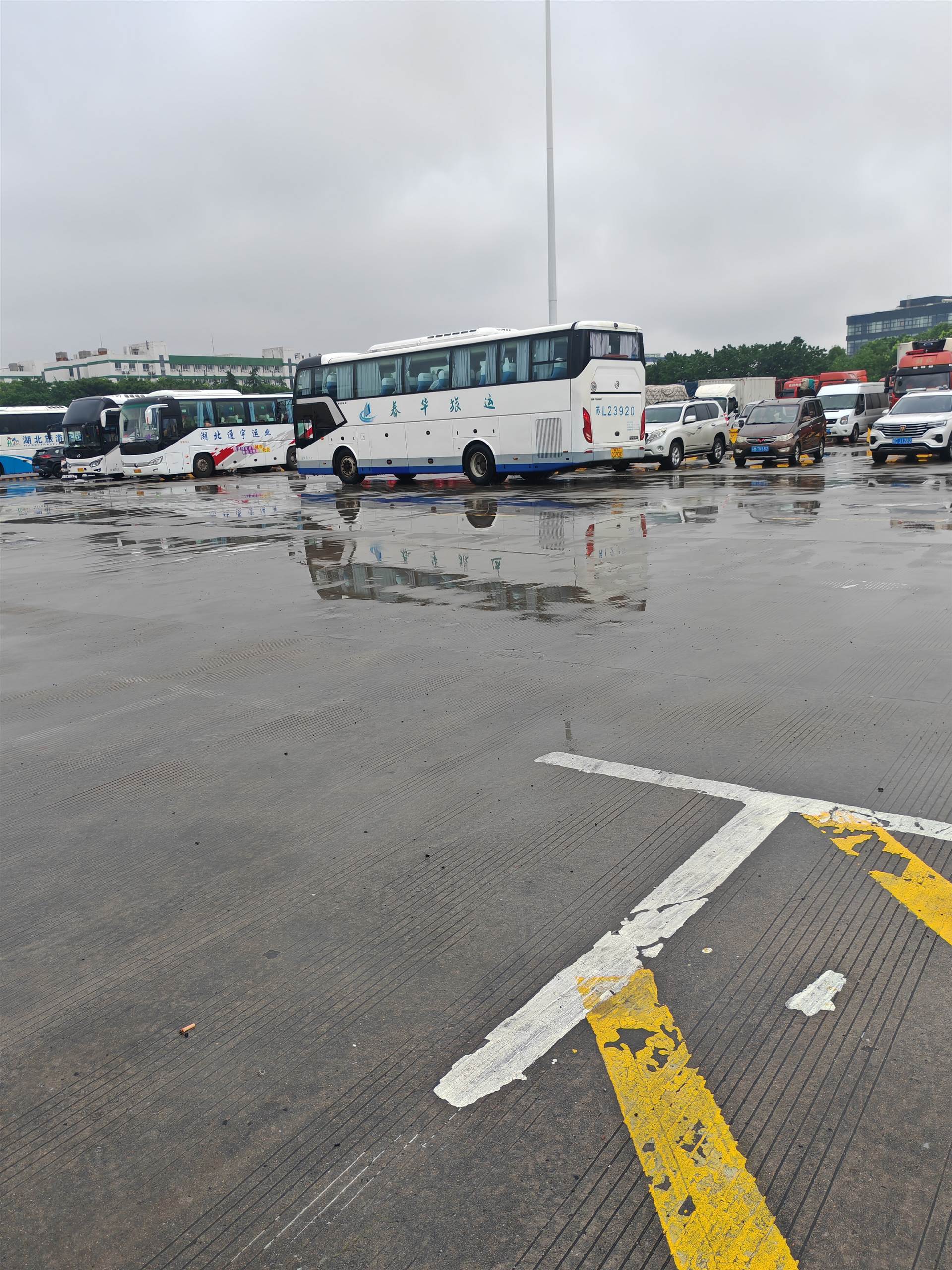 普定到天台仙居温岭临海长途客车按时发车/客车