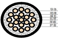 山东泽荣额定电压300/500V舰船用控制仪表电缆