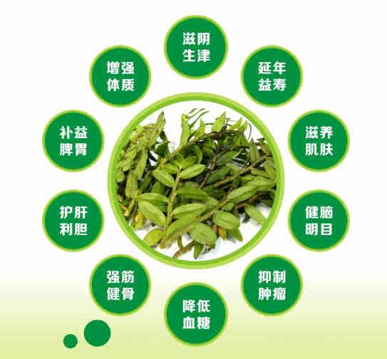 石斛泡水喝的功效有哪些