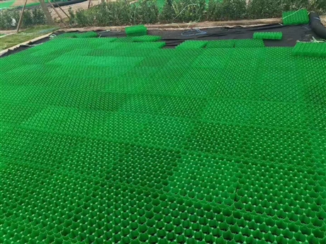 全新料7公分植草格 5公分植草格 4公分植草格廠家批發(fā)