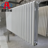 钢制二柱散热器 SQGZ206钢制柱型散热器厂家