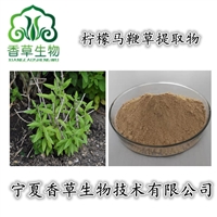 柠檬马鞭草提取物 食品级柠檬马鞭草粉 香水木提取物 花草茶