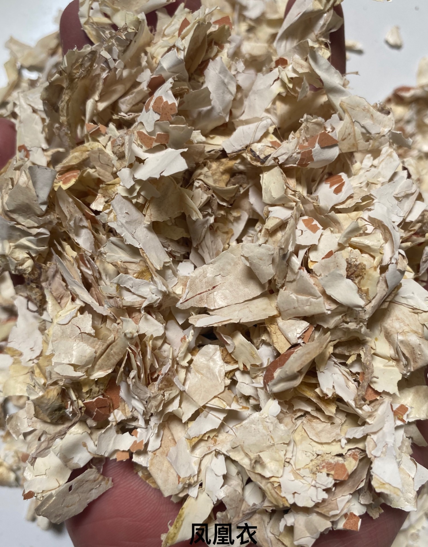 本公司主要经营各种中药材种子,种苗,冷背药材,中药材饮片,奇花异草