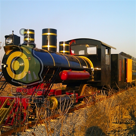 景区小火车  旅游观光小火车  电动火车   轨道火车