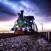 博瑞特纯电动小火车旅游景区火车公园观光设备