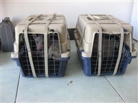 乐清到紫云的客车客车时刻表查询