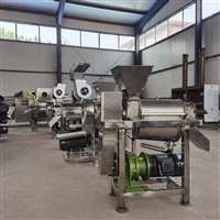 民安蔬菜打浆机 不锈钢全自动螺旋榨汁机供应