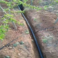 安徽果树节水灌溉设备 水肥一体化灌溉设备 巢湖滴水管规格