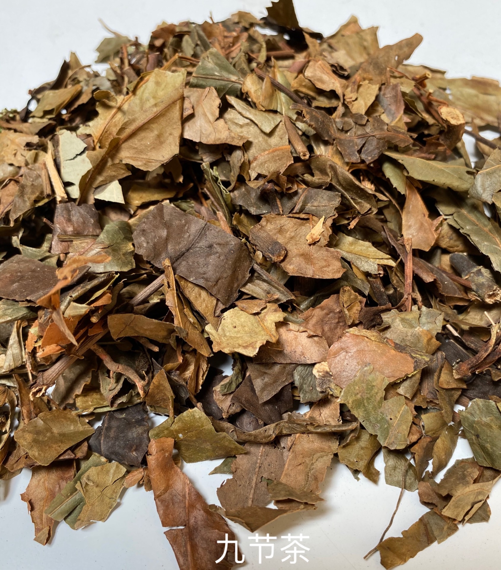 供应九节风九节风多少钱一公斤