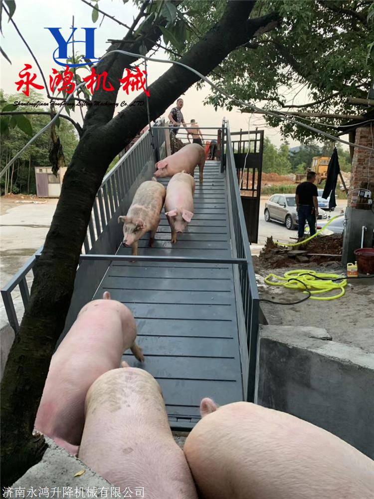 㽭d3жi_ļҺôbi_