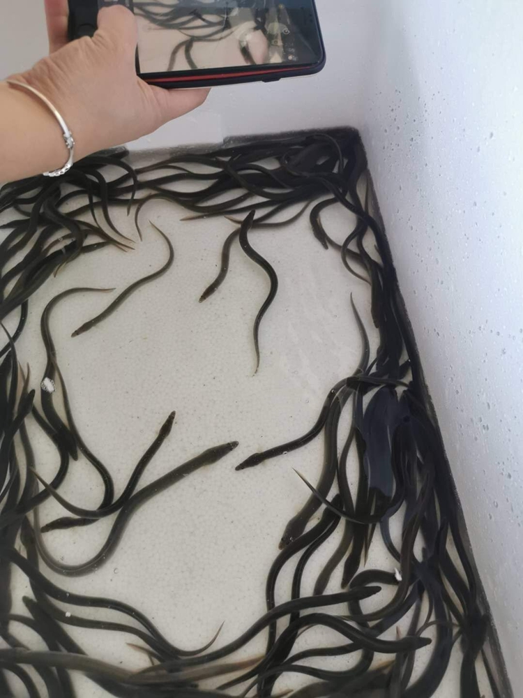 ۰Ʒȫ