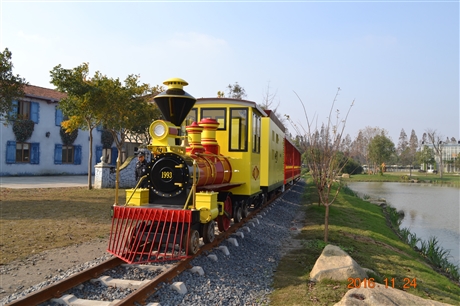 跨坐式小火车  齿轨小火车   豪华旅游火车