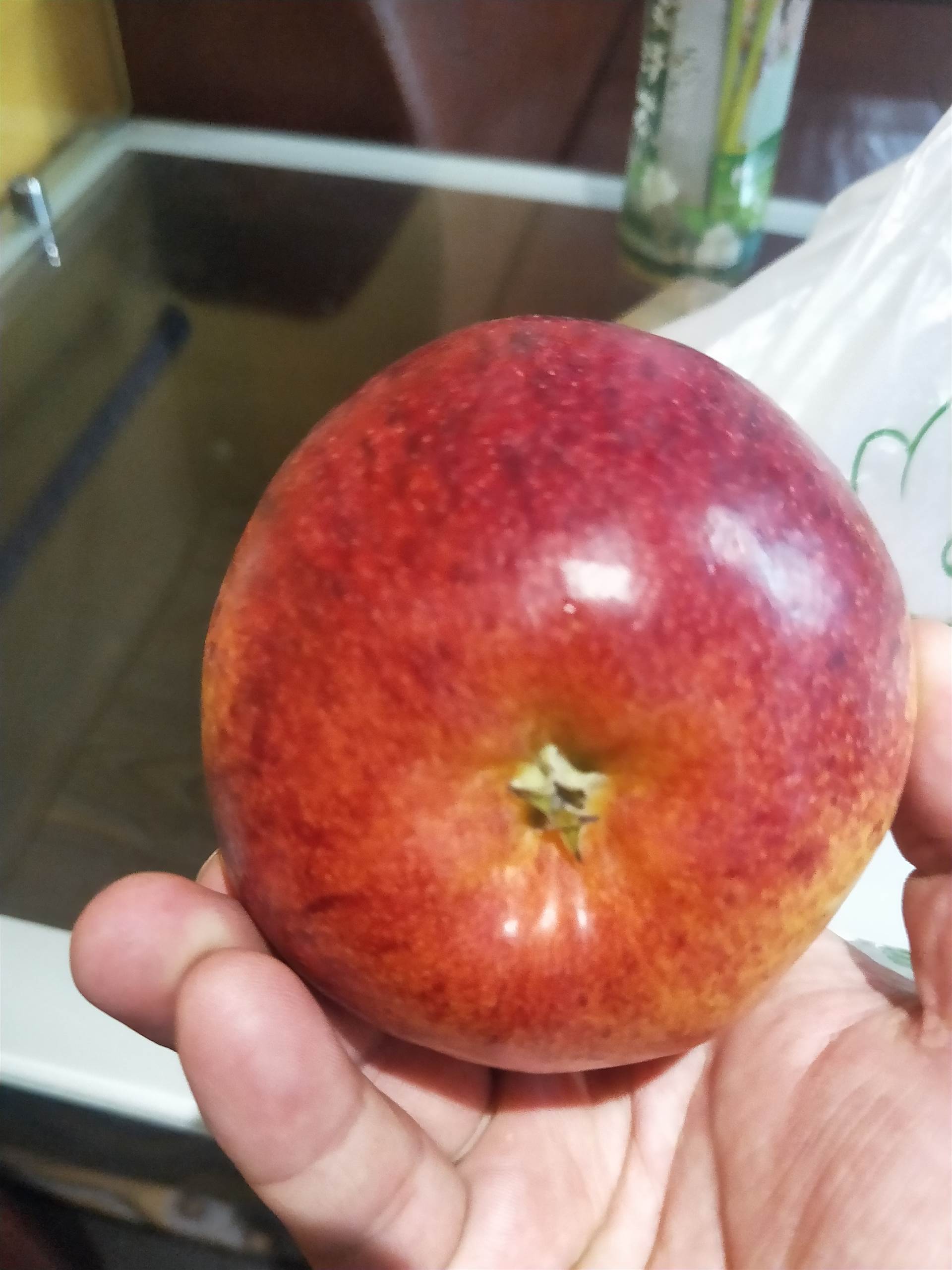 新品种爱妃苹果苗直售 爱妃苹果苗报价行情