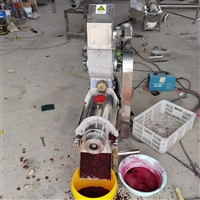 商用榨汁机 小型柚子樱桃打汁机 汁多渣少螺旋轴压榨机