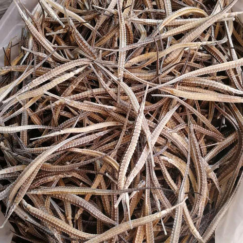 供应海龙各种规格 海龙质优价廉