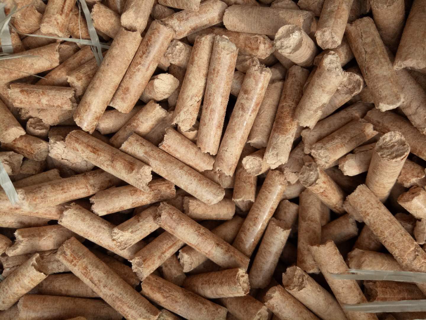 生物颗粒  生物质燃料  环保生物颗粒  松木颗粒  橡木颗粒 