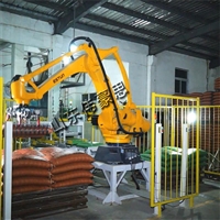 矿粉包装码垛机 机器人码垛机 码垛机械手厂家