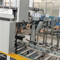 大豆油自动装箱码垛线 机械手码垛机图片