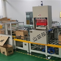 药盒智能装箱码垛一体机 全自动装箱机 码垛机械手供应