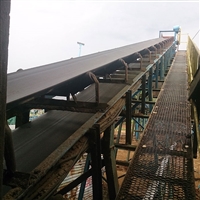 山东泽荣大倾角输送机