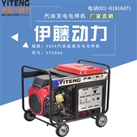伊藤动力300A发电电焊机YT300A