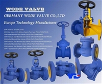 德国沃德WODE进口蒸汽用阀门 高温阀门品牌