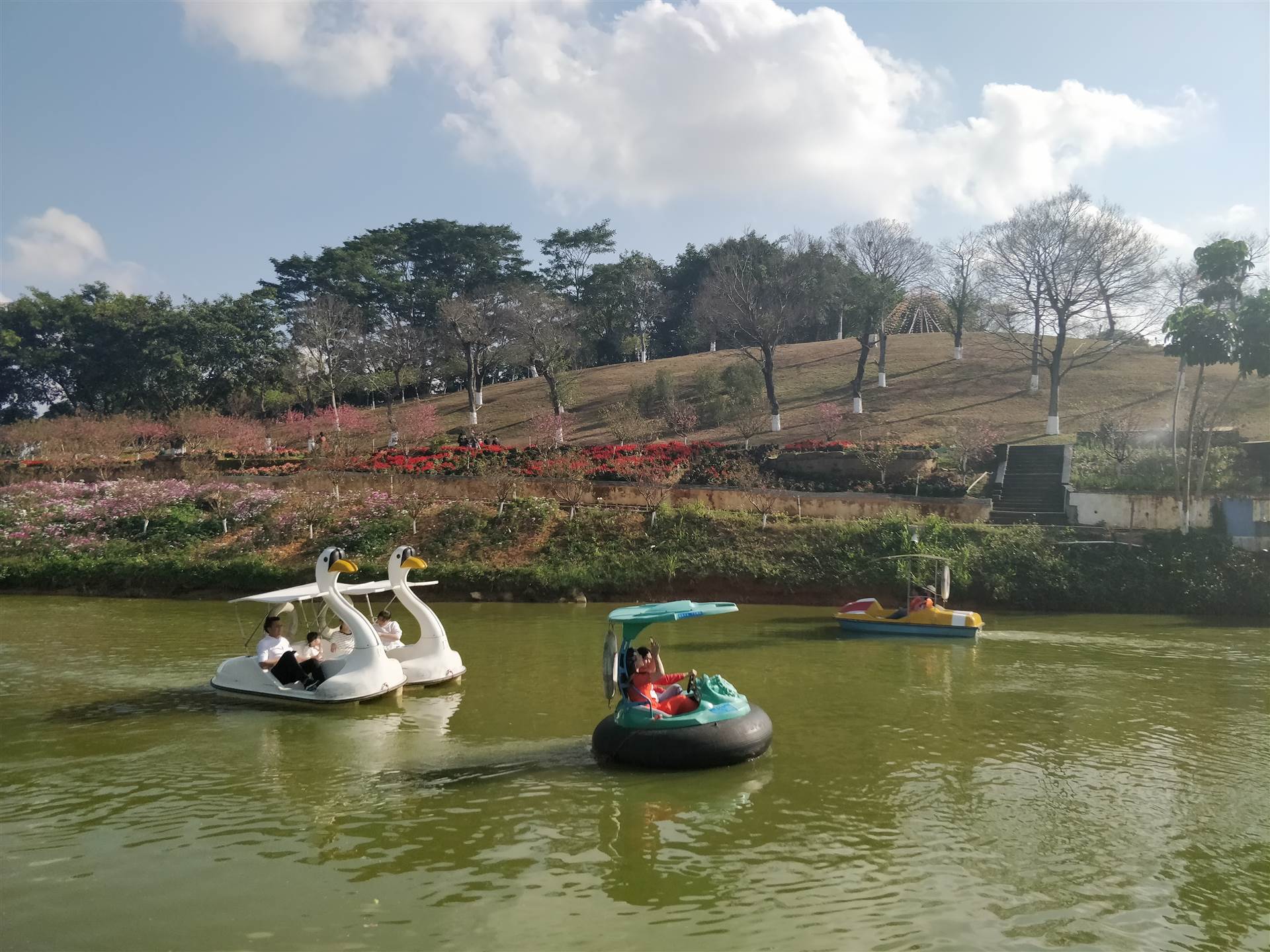 深圳團建場地推薦松山湖花海農莊