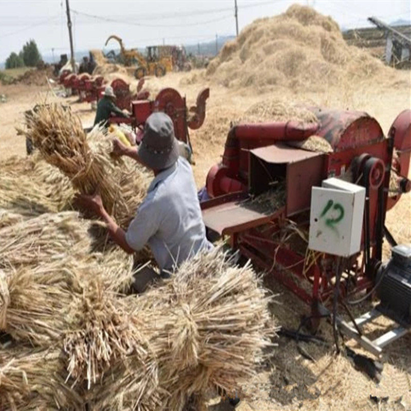 多功能小麦谷子脱粒机型号