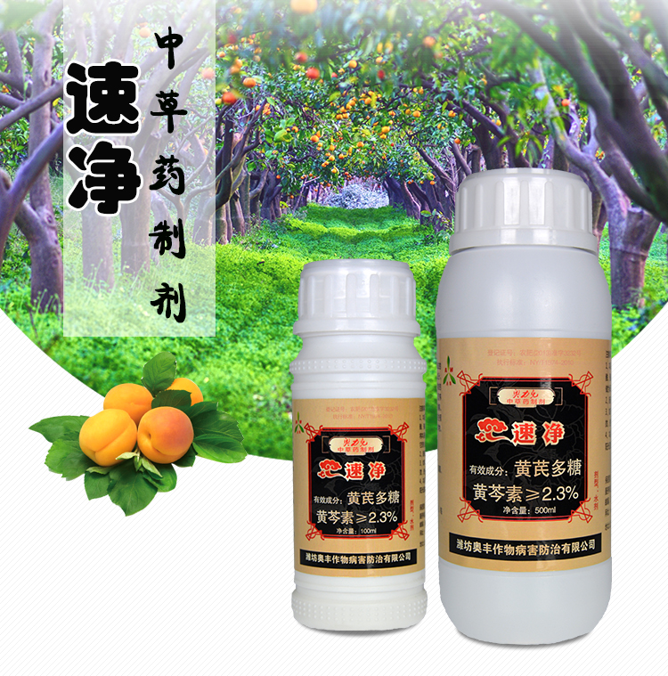 黄瓜黑星病防治用药 中药杀菌剂速净