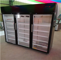大型啤酒展示柜价格 保鲜冷藏啤酒柜 啤酒展示柜洛阳