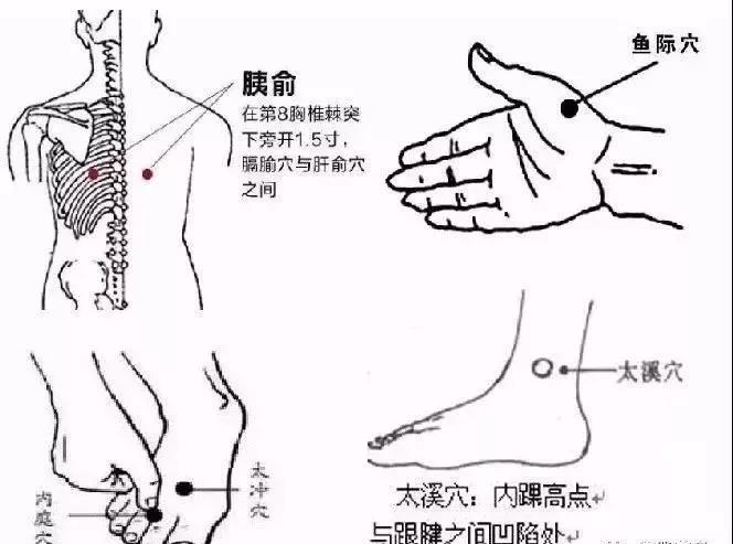 胰俞是經外奇穴,它是治療消渴(糖尿病)的經驗效穴,位於足太陽膀胱經的