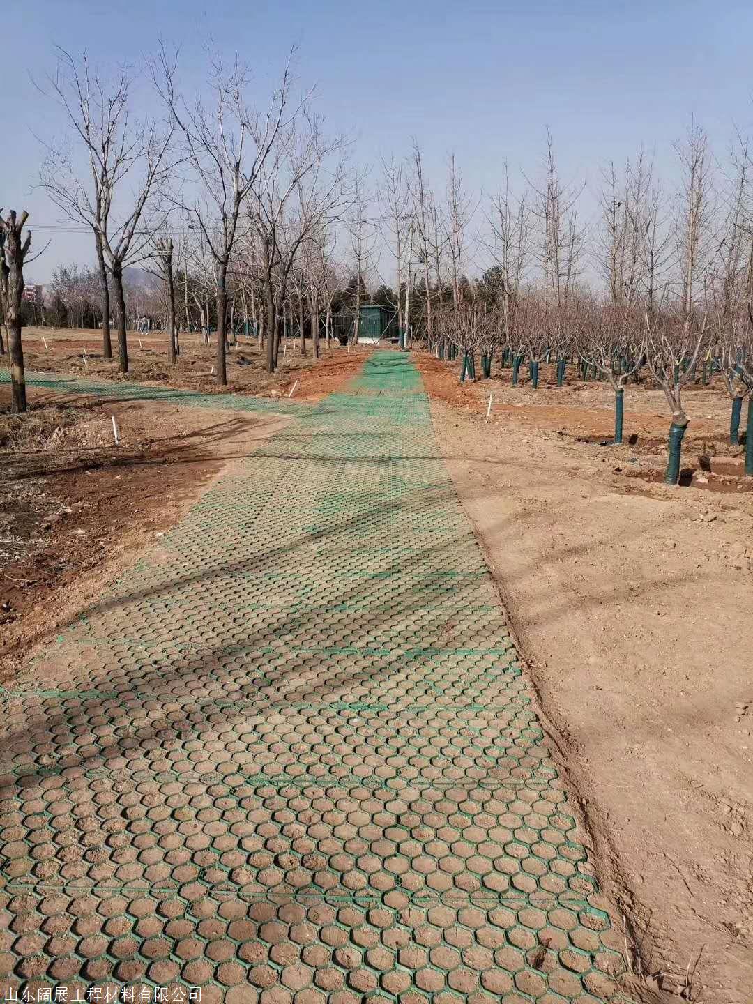 高度70塑料加强柱植草格