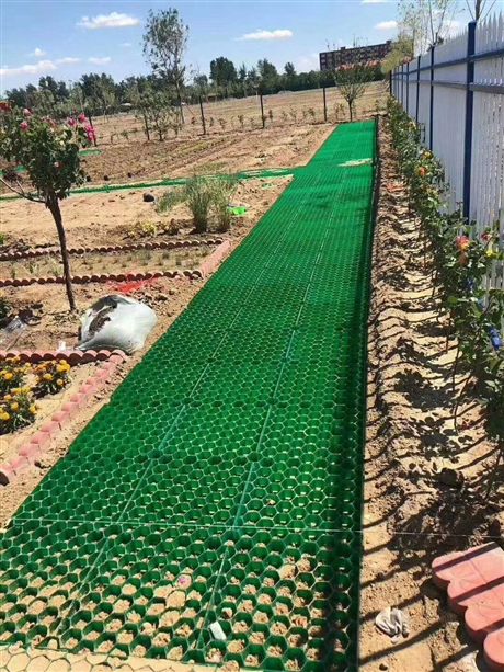 呼和浩特4公分加強柱植草格 4公分植草格生產(chǎn)廠家
