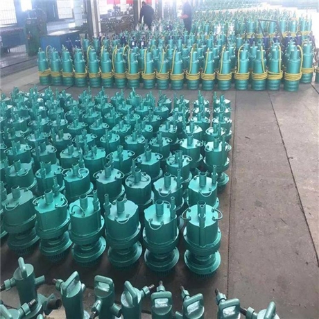 矿井巷道排污用FQW30-18/W风动潜水泵 FQW20-25/W矿用风动潜水泵