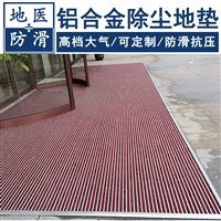铝合金除尘地垫 银行门厅蹭土门垫 贵州贵阳批发定制 地医