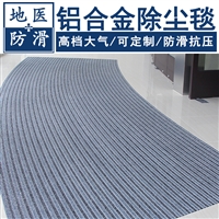 铝合金除尘毯 单位门厅除尘防滑地垫 浙江杭州批发定制 地医