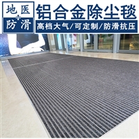 铝合金除尘毯 单位门厅除尘防滑脚垫 浙江杭州厂家批发 地医