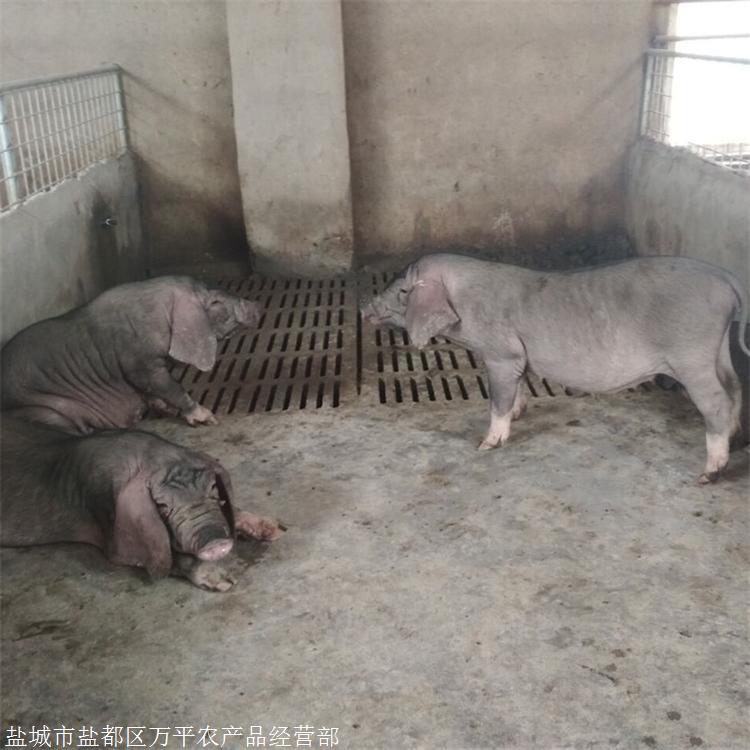 岳阳屈原科技发展有限公司