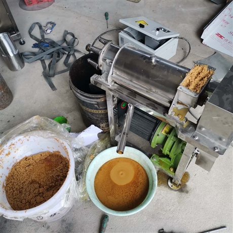  梨果蔬榨汁機 商用0.5噸工業桃子打漿機 不銹鋼水果蔬榨汁機 