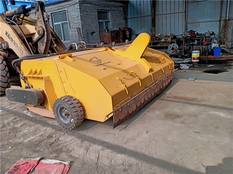 s550山猫清扫机山猫扫路车